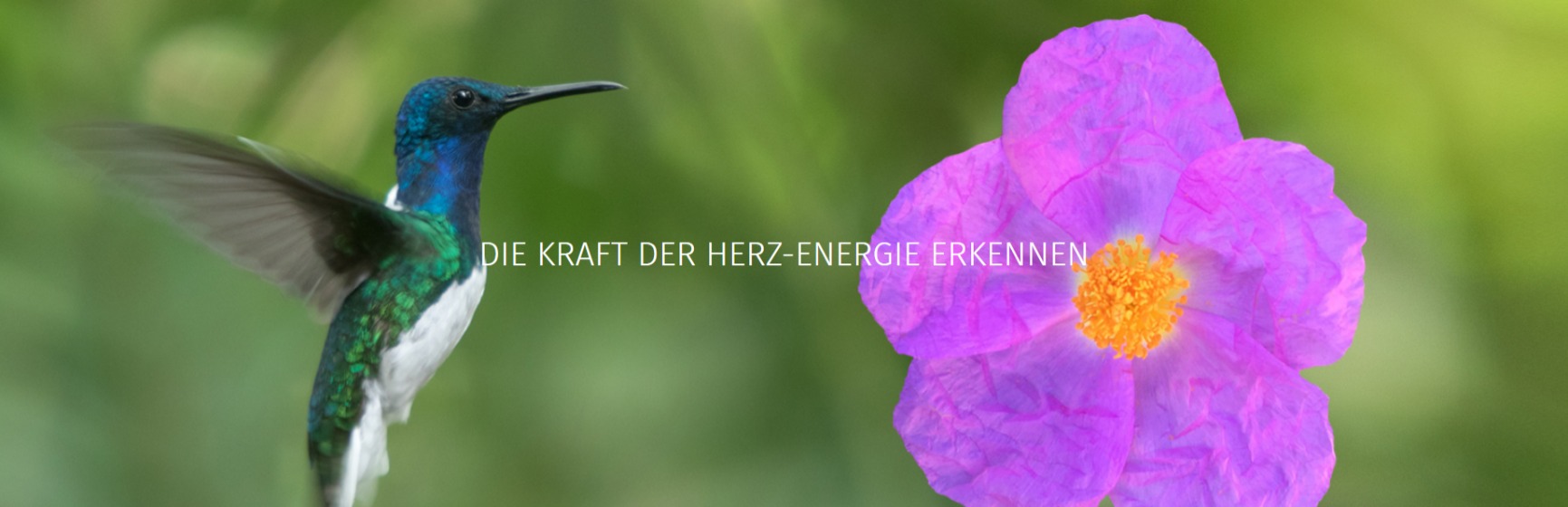 Härzchraft Energiearbeit