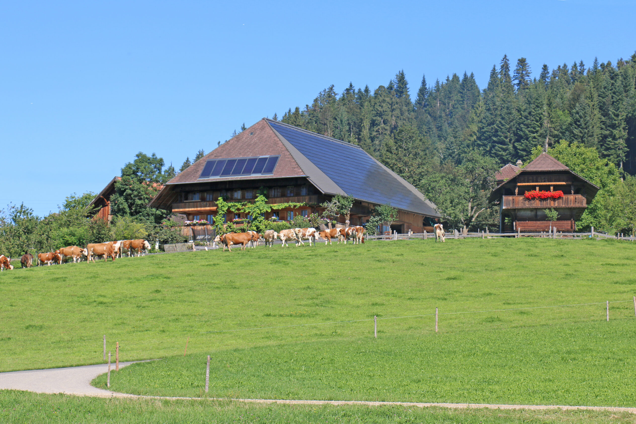 Der Bio-Hof